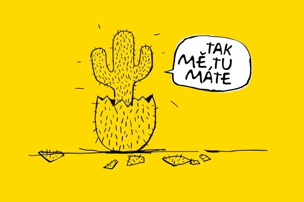 Operátor Kaktus startuje