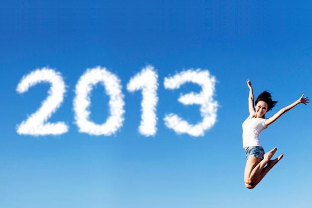 Co přinesl rok 2013