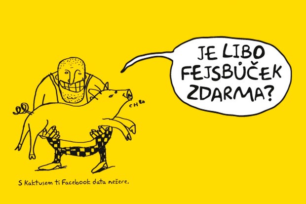 Kaktus prodlužuje akci Facebook zdarma