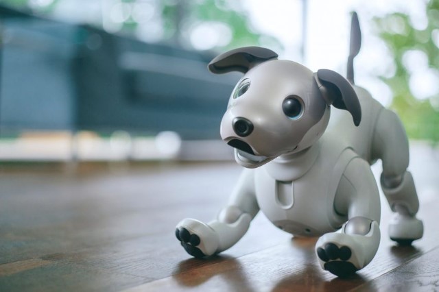 Robopes od Sony je zpět a zvládne víc, než kdy předtím!