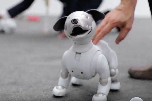 Robotický Aibo na CES předvedl úžasné kousky