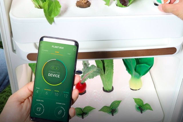 Pěstujte salát i mrkev doma pomocí vynálezu Plantbox