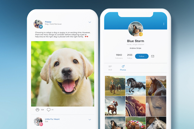 Animal Breath: nová sociální síť pro zvířata