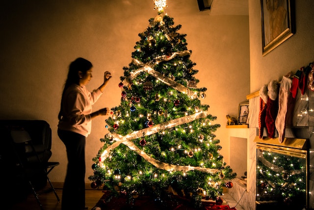 Vánoční vyhledávání na Seznamu: O které stromečky byl největší zájem?