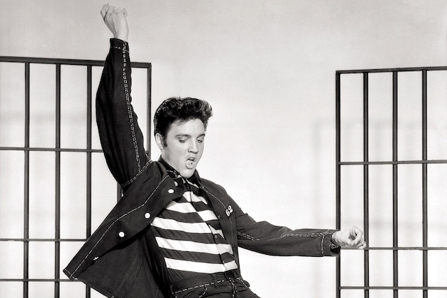 Londýnská výstava chystá vystoupení Elvise Presleyho z pomoci umělé inteligence