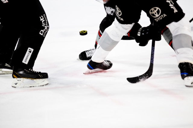 Hokej Česko–Kanada patřil k nejsledovanějším zápasům roku